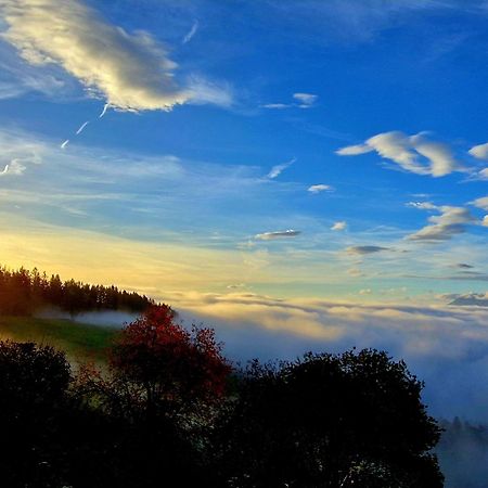 Gasthof Machwirth Griffen Dış mekan fotoğraf