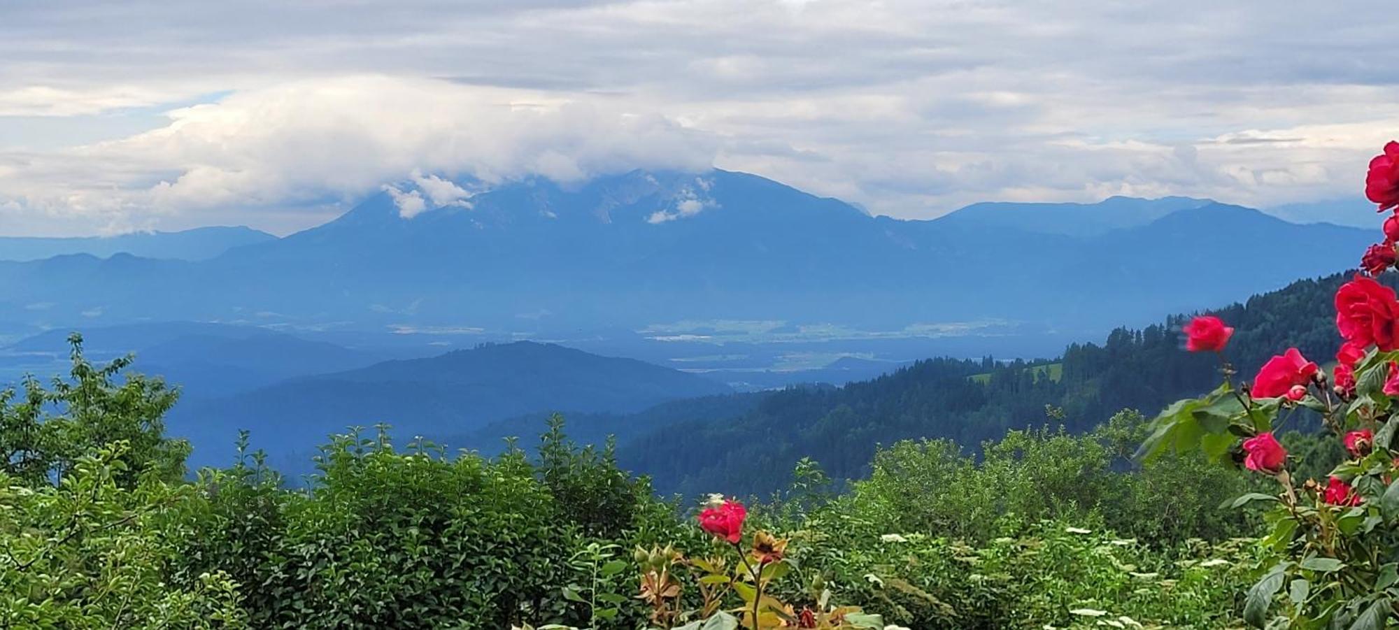 Gasthof Machwirth Griffen Dış mekan fotoğraf