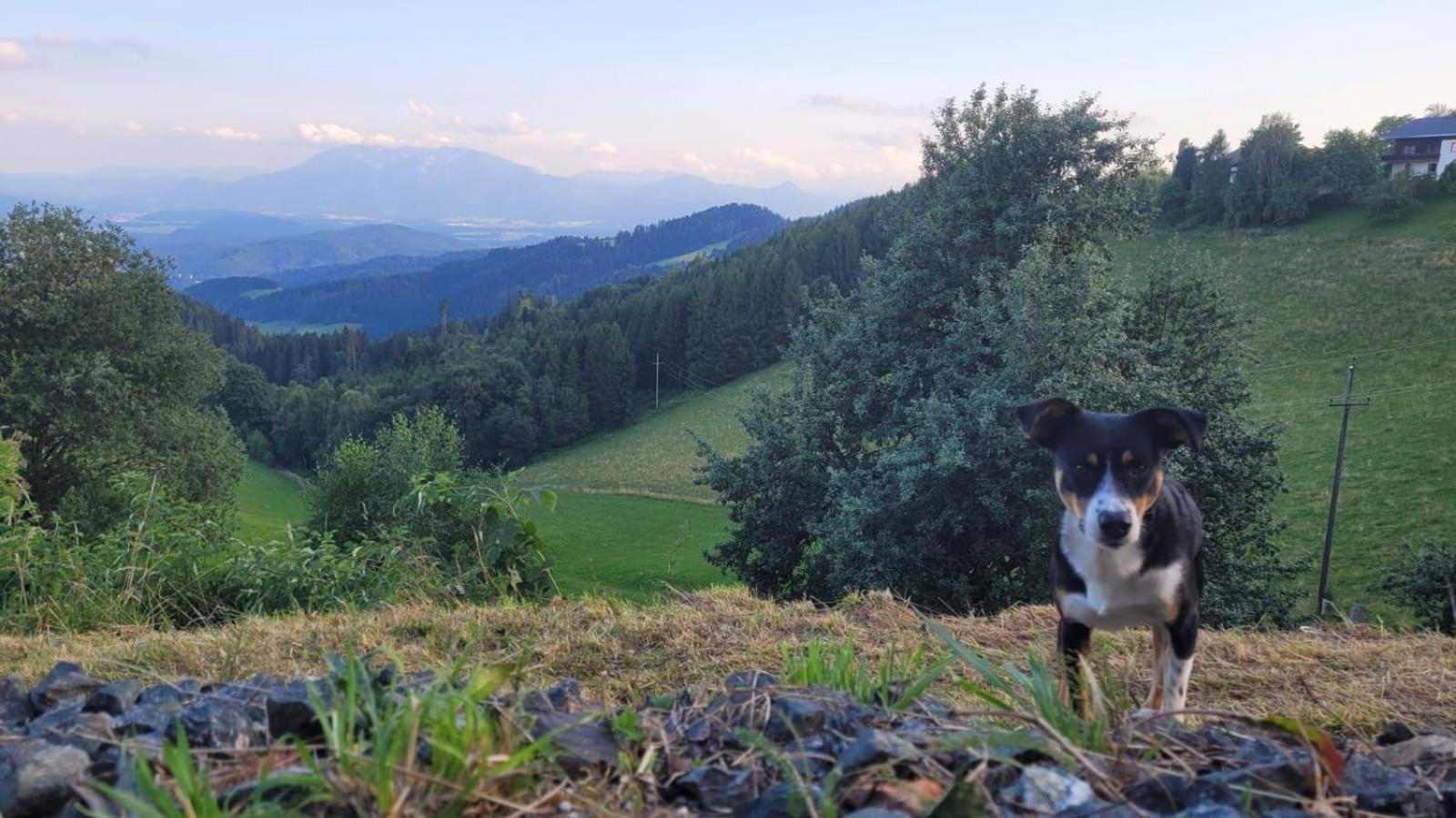 Gasthof Machwirth Griffen Dış mekan fotoğraf